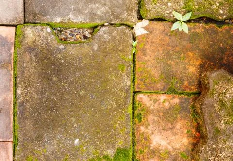 Concrete floor texture Stock Photos