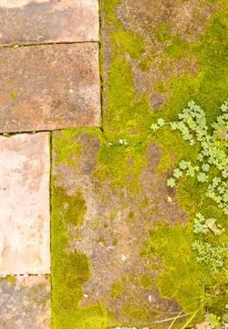 Concrete floor texture Stock Photos