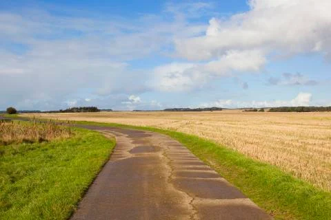 Concrete footpath Stock Photos