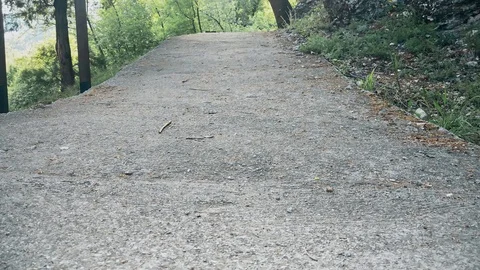 Concrete footpath through the woods Stock-Footage 107906058