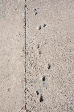 Concrete footprints Stock Photos