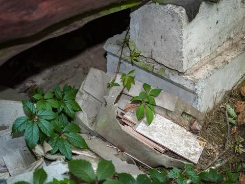 Concrete foundation blocks 写真素材
