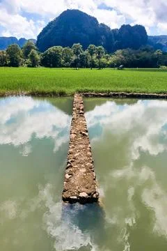Concrete foundation, rice fields, mountains and morning clouds Stock Photos