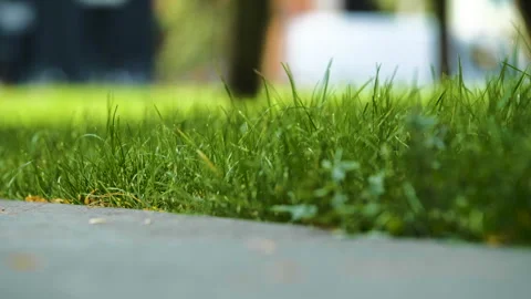 Concrete grass Vídeo Stock 263757654