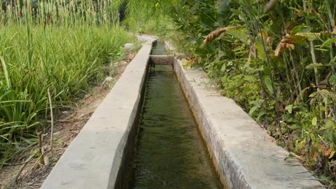 Concrete irrigation channel Stockbeeldmateriaal 332539488