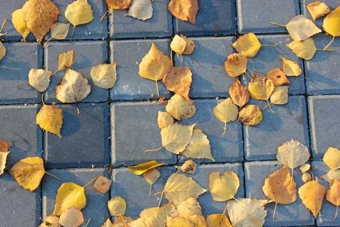 Concrete or cobble gray square pavement slabs or stones for floor, wall or path Stock Photos