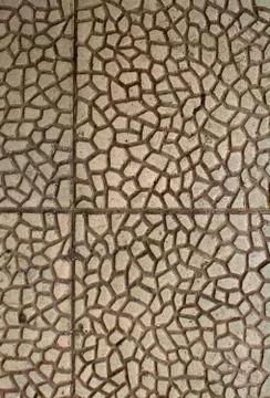 Concrete organic pattern Stock Photos