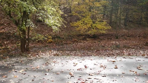 Concrete patch in a town park Vídeo Stock 141764985