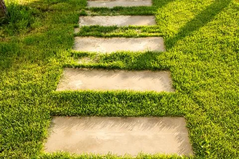 Concrete path lawn pedal rectangular shape in regular grid routed directly th 스톡 사진