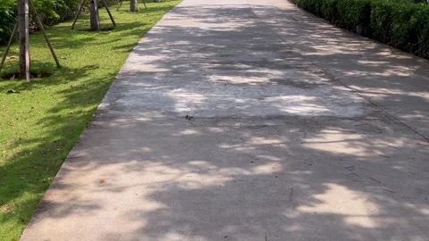 Concrete path in public park with tree shadows Stock Footage 325970130