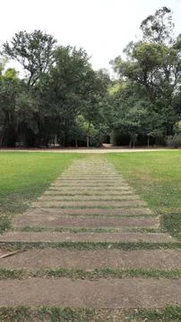 Concrete path towards the trees Stock Photos