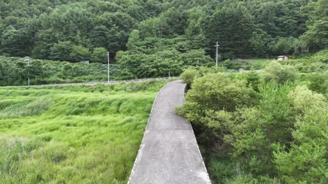 Concrete path winds through lush green fields Stock Footage 343249095
