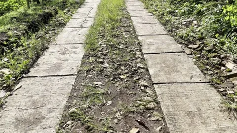 Concrete pathway with two lanes Stock Footage 305015797
