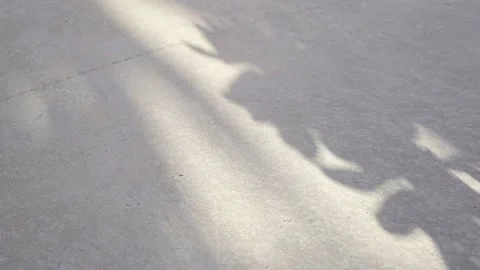 Concrete pavement and falling shadows from trees. Stock-Footage 150418131