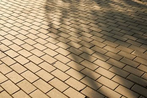 Concrete Pavement Bricks Wall Pattern with Tree Shadow in Golden Light Stock Photos
