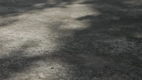 Concrete Pavement Surface with Dappled Tree Shadow Stock Footage 340606764
