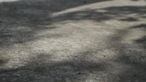 Concrete Pavement Surface with Dappled Tree Shadow Stock Footage 340606827