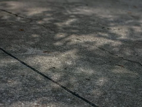 Concrete Pavement Surface with Dappled Tree Shadow and Sunlight Texture Stock Photos