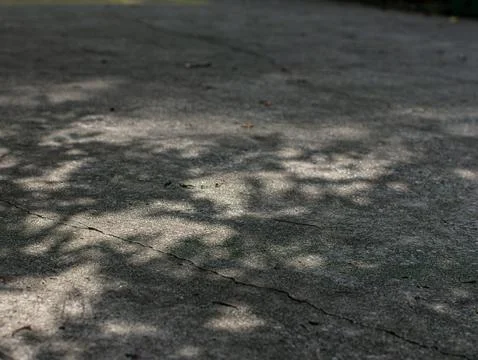 Concrete Pavement Surface with Dappled Tree Shadow and Sunlight Texture Stock Photos