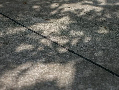 Concrete Pavement Surface with Dappled Tree Shadow and Sunlight Texture 库存照片