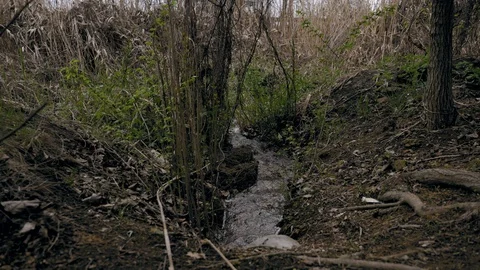 Concrete pipe transporting the poluted river in to a small pound Stock Footage 107112865