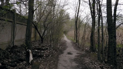 Concrete pipe transporting the poluted river in to a small pound Stock Footage 107112980