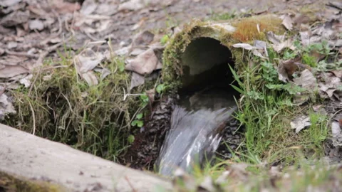 Concrete pipe transporting the poluted river in to small pound. Stock Footage 113361054