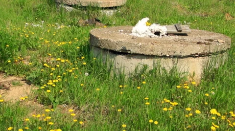 Concrete pit cover Видео 57323129