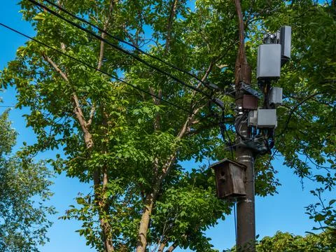 Concrete pole with communication boxes for internet, mobile phone and birdhouse. Stock Photos