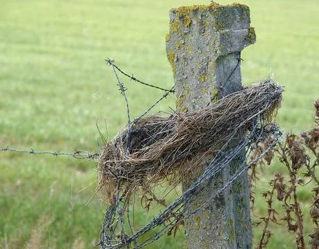 Concrete post in a farmer environment Stock Photos