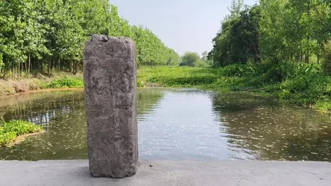 Concrete Post by Serene Pond 스톡 동영상 340517565