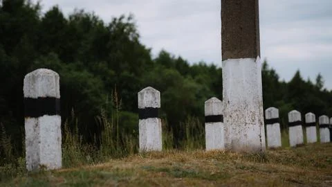 Concrete posts along the road next to the forest Stock Photos