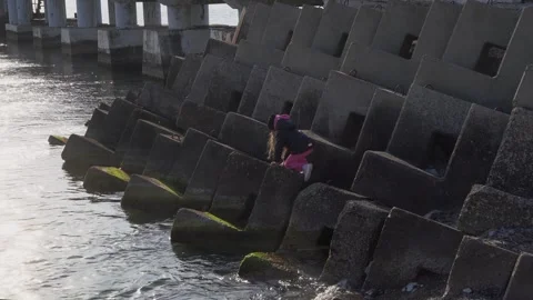Concrete protection on the seashore Stock Footage 307385268