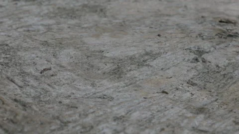 Concrete Rock Surface Texture with Natural Weathering Details Close Up Stock Footage 345364594