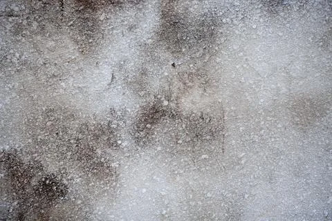 Concrete rough light wall background texture Stock Photos