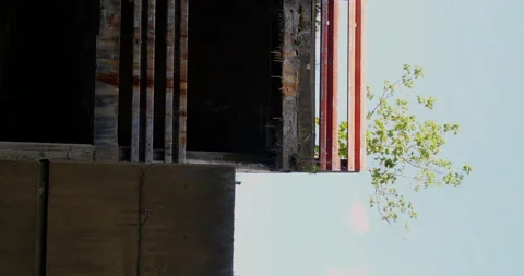 Concrete ruin with tree vertical Stock Footage 215824177