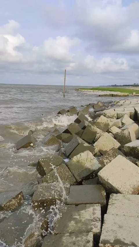 Concrete sea wall erosion control blocks protecting tropical coastline from Stock Footage 342408512