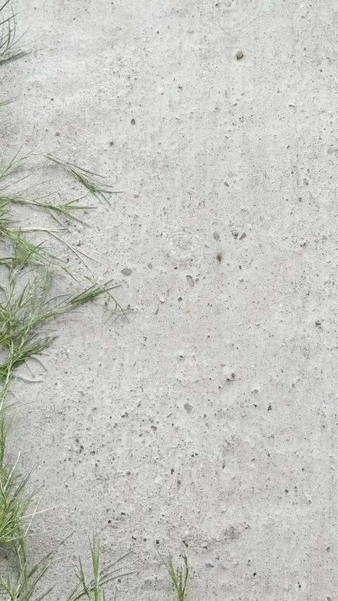 Concrete Sidewalk Texture with Grass Stock Footage 346076437