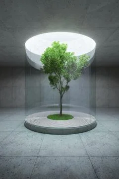 Concrete space interior with tree inside, 3d rendering Stock Illustration