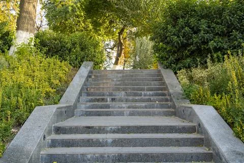 Concrete Staircase Surrounded by Greenery Stock Photos