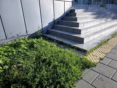 Concrete Stairs Adorned With Tile Cladding Beside a Lively Flowerbed Stock Photos
