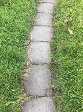 Concrete stepping foothpath with grass  on both sides Stock Photos