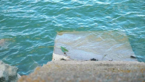 Concrete steps down to blue river water Video stock 97940004