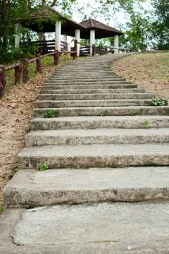 Concrete steps in the garden Stock Photos