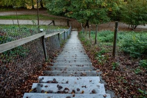 Concrete steps going down in a Swiss forrest Stock Photos