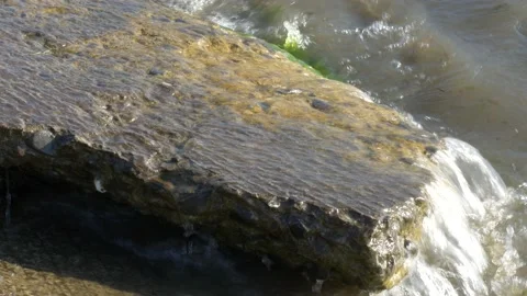 Concrete stone covered with bloom and algae is washed by river waves Stock Footage 151838482