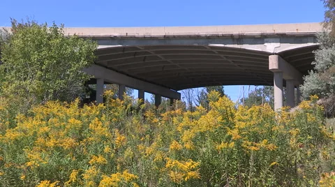 Concrete super highway running through environmentally protected greenspace Stock Footage 67644511