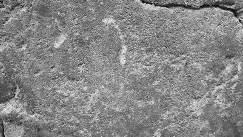 Concrete Surface Background Stock Footage 258526116