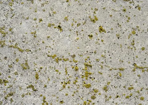 The concrete surface is covered with moss 2 Stock Photos