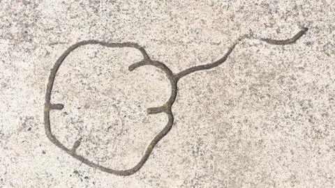 Concrete surface with a ramp Stock Photos